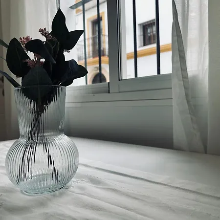 Gades Conil A Conil De La Frontera